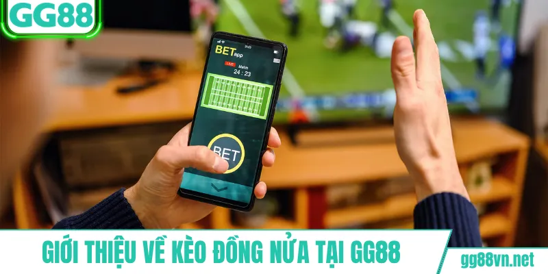 Giới thiệu về kèo đồng nửa tại GG88