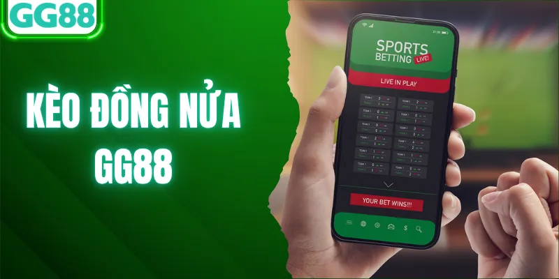 Kèo Đồng Nửa Khái Niệm Là Gì? Tìm Hiểu Chi Tiết Khi Tham Gia