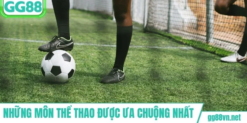 Những môn thể thao được ưa chuộng nhất tại GG88